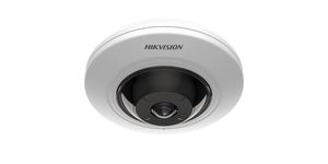 DS-2CD2955G0-ISU(1.05mm) CAM IP DOME INT 5 MP FISHEYE – vue 2