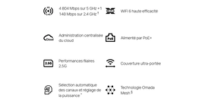 Point d'accès Wi-Fi borne WIFI6 AX6000 plafonnier omada – vue 6