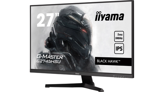 Écran informatique HDMI / dp / 1920x1080 / 1ms