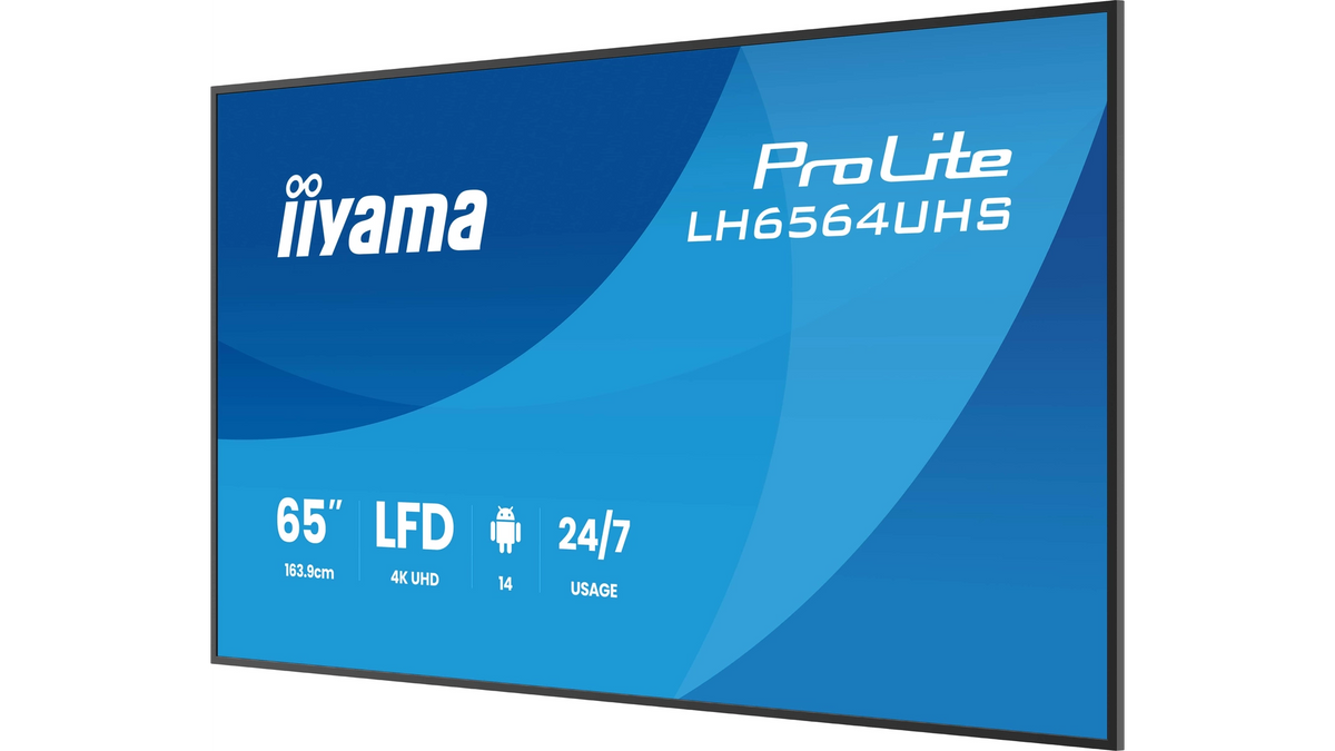 ECRAN 65'4K UHD 3840X2160 DALLE VA LED 24/7 Haut-parleurs,2xHDMI 1xUSB-C 6.5ms