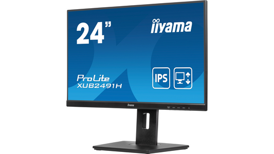 Écran informatique 24' ips dp/hdmi VESA hp