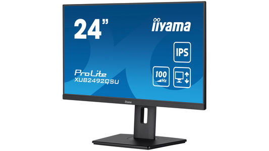 Écran informatique 23,8' dalle ips 2560x1440